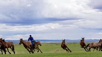 Essence of Mongolia 5 Days