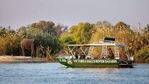  Zambezi River Safari 