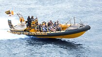 PRIVATE HIRE 45 min Speedboat Tour - Embankment/Westminster Pier