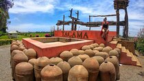 Pisco Wineries and Vineyards Day Tour