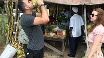 Private and Customize Highlight Tour to Montego Bay from Falmouth