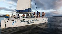 Blue Dolphin - Private Mimosa and Bloody Mary Brunch Tour