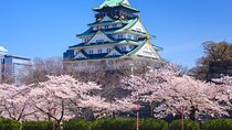 Osaka and Kansai Private Customized Day Tour