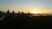 2-hour camel ride on the Agadir River
