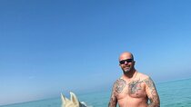 3-Hours Horse Riding and Swimming in Red Sea on the Beach and Dessert Hurghada