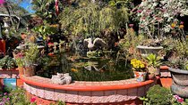 Private Tour to El Jardin Botanico, El Tuito and El Eden