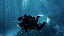 Scuba Diving Experience in Alanya With Lunch and 2 Dives