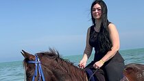 2 hours Horse riding or Camel riding at Hurghada