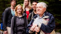 Hardships of the Past Amsterdam WW2 Private Walking Tour 