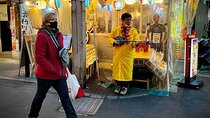 Private Half-Day Tour Colorful and Busy Street in Central Tokyo