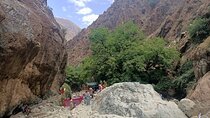 Full Day Tour to Ourika Valley Berber Village and Atlas Mountain