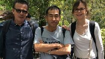 Kyoto Custom Private Walking Tour with A Guide (Private Tour)
