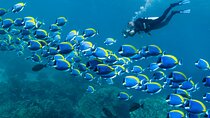 Scuba Beginner Diving and Snorkeling with Lunch From Hurghada
