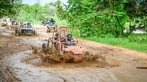 Full Day Buggy Experience and Snorkeling Cruise with Open Bar