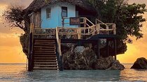 Dolphin Tour; Kuza Cave Tour; Paje Beach; The Rock Restaurant; Jozani Forest 