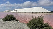 8 Hours Visit to the Camargue and the Salins d’Aigues-Mortes