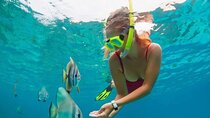 Blue Lagoon Snorkeling and Lunch with Tukad Cepung Waterfall