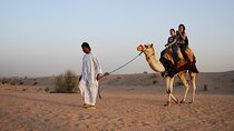 Camel Trekking in Open Red Dunes Desert