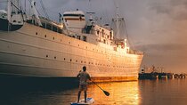 SUP Sun Experience with Transport from Porto and Braga