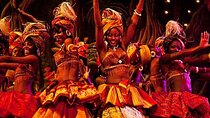 Nairobi Nightlife and Safari Park Hotel Dinner Experience