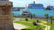 Transfer Civitavecchia Cruise Port>Rome/FCO/or Private Revers