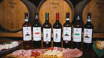 2-hour tasting of 5 wines in Sorrento