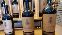 Private Tour to Evora with wine tasting at the Cartuxa Winery