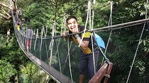 Forest Research Institute Malaysia FRIM Rainforest Private Tour 