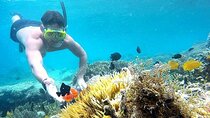 Day Trip Secret Island West Of Lombok