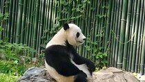 3 Days Private Boutique Tour With Peking Roast Duck 