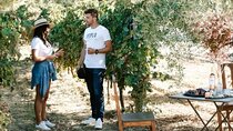 Day Trip to Nemea Winery & Nafplio