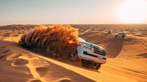 Morning Red Dunes Safari: Camel Ride & Sandboarding Adventure