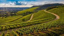 Chianti Classico Bike Tour from Siena
