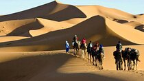 Basic Desert 3 Days 2 Nights from to Marrakesh
