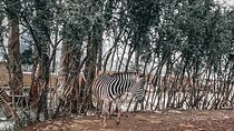 Unity Park Half Day Tour in Ethiopia 