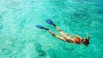Snorkel Fort Lauderdale Jean Cousteaus Reef and Snorkel Trail