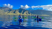 Kayak, Whale Watch, and Snorkel With Optional Photo and Video