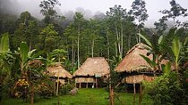 BRIBRI Chocolate tour & Cahuita National park from San Jose