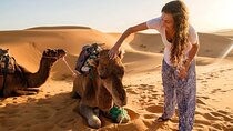 2 days luxury desert trip [fes to fes or marakech]