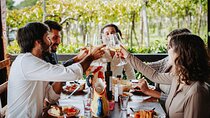 Guided Tour of Pompei, Lunch and Wine from Sorrento
