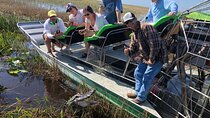 60 min Small Group Everglades Airboat Ride in Miami