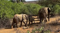 2 days Amboseli national park safari