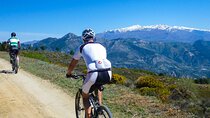 Guided Mountain Bike Adventure 