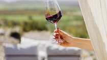 Atamisque Winery + Lunch in Ruda Cocina. Private transportation