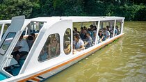 6-in-1 Tour: Cahuita National Park, Tortuguero Canals & More!