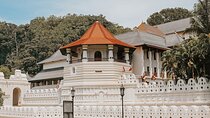 Best of Sri Lanka 8 Days All Inclusive Tour