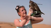 Morning Desert Safari With Dubai City Tour