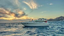 Private Whale Watching on Luxury Yacht in Cabo San Lucas
