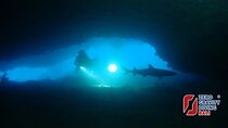 Shark Cave diving at Tangked Taked and Biaha Shark Caves