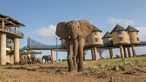 4 Days Best of Kenya Safaris 